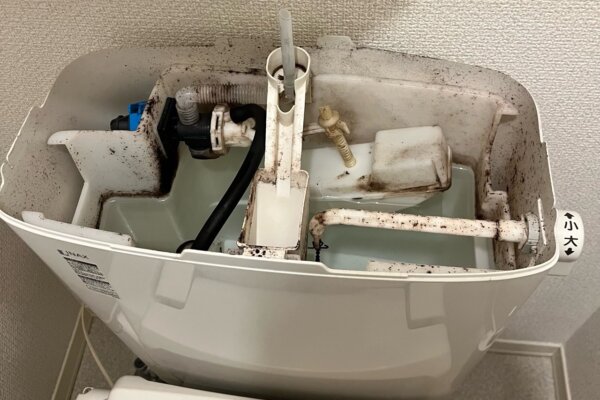 トイレのタンクの中のカビ